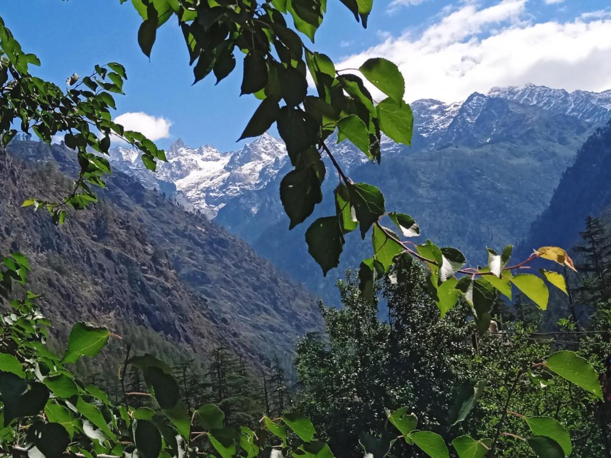 Kasol View Hotel Eksteriør billede